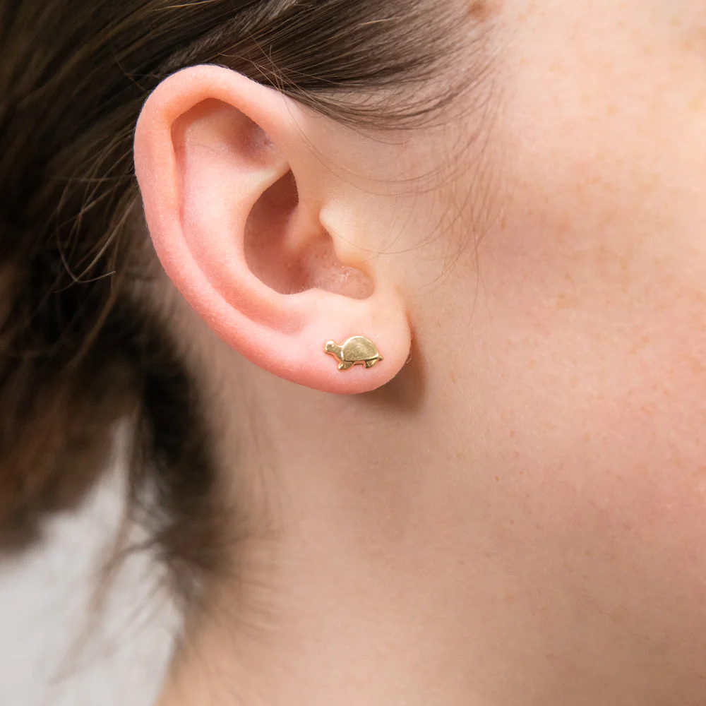 9ct Yellow Gold Plain Tortoise Open Back Stud Earrings - Image 2