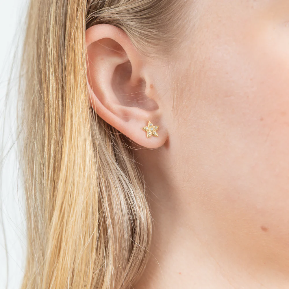 9ct Yellow Gold Silver Filled Cubic Zirconia Star Stud Earrings - Image 2