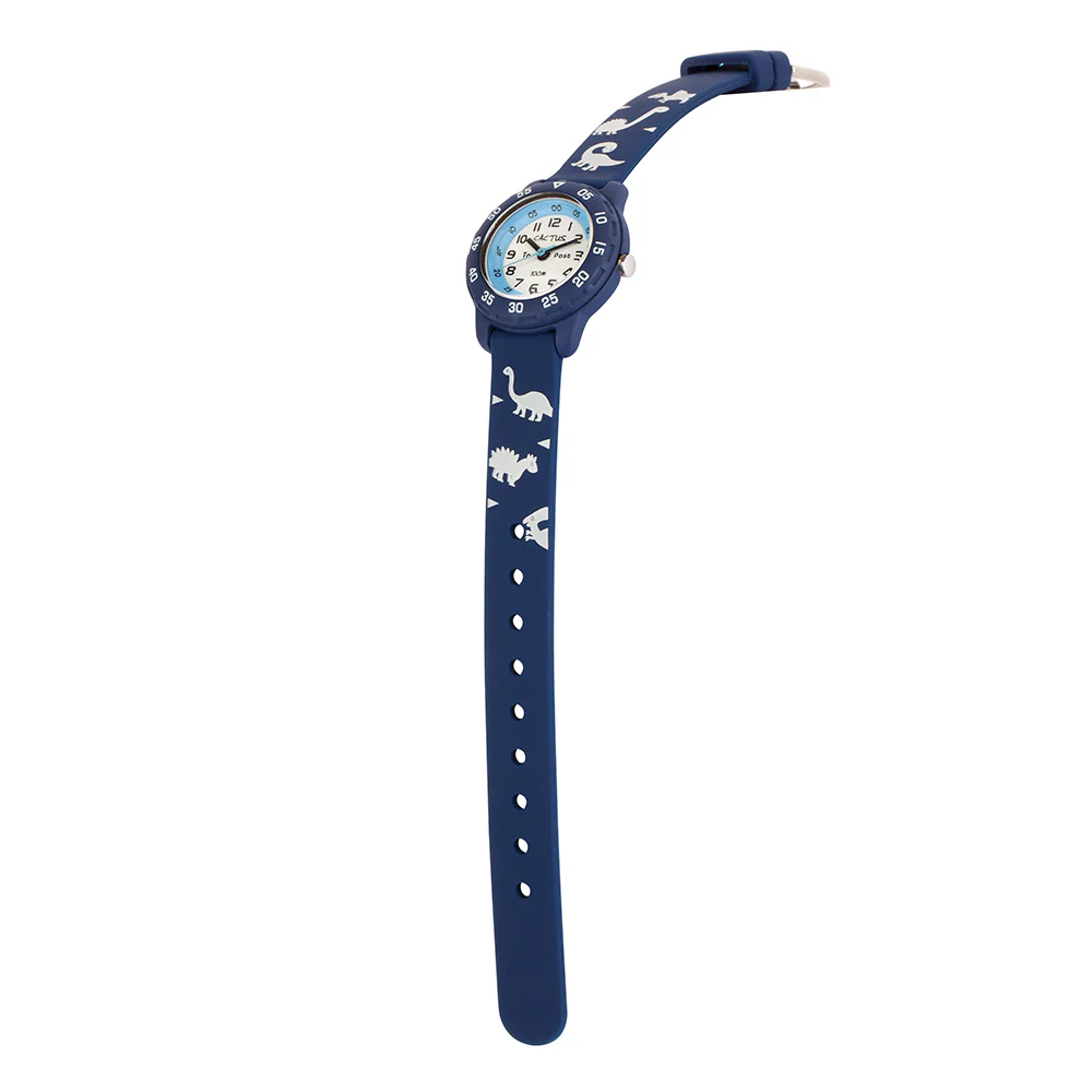 Cactus Time Teacher CAC-124-M03 Dinosaur - Image 4