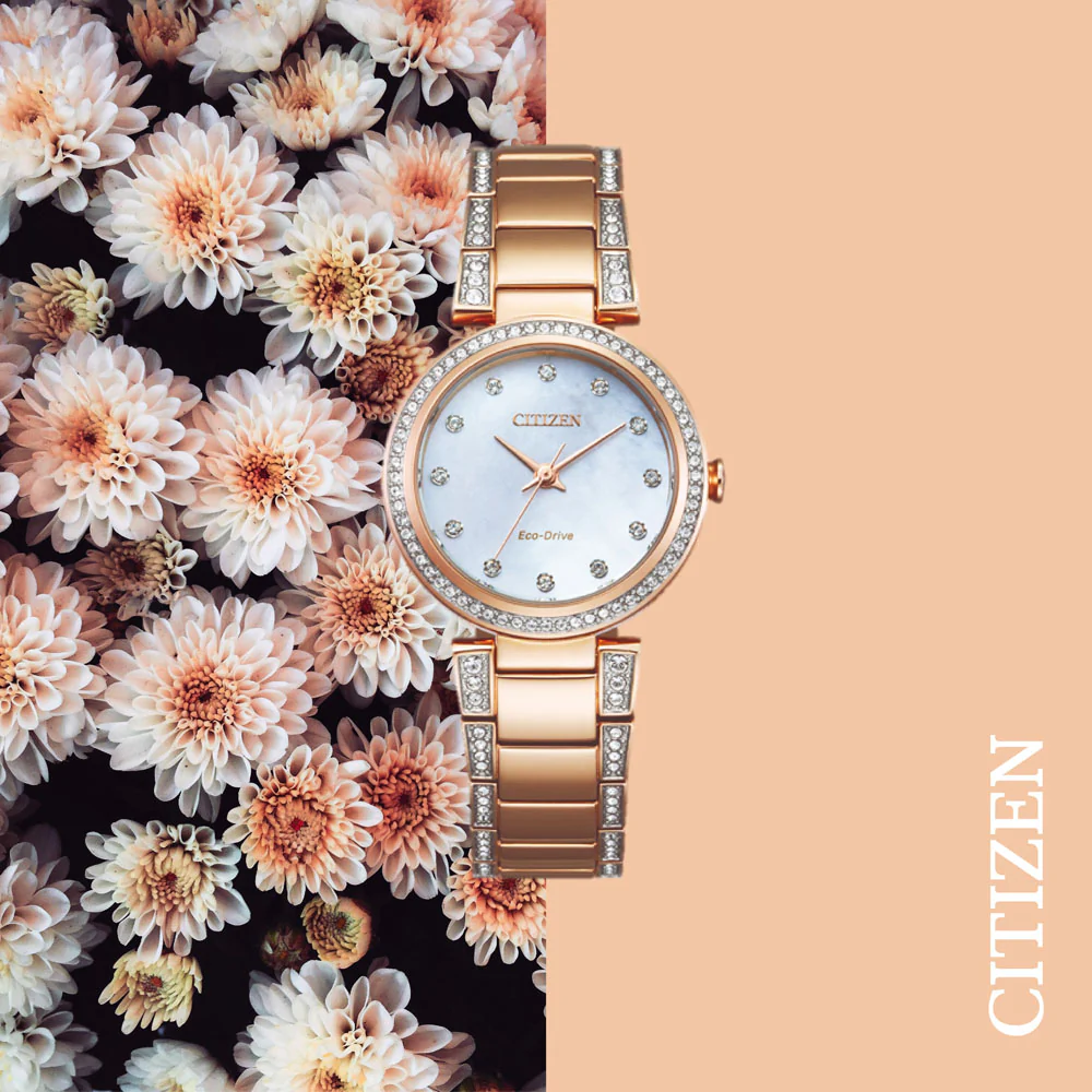 Citizen Eco-Drive EM0843-51D - Image 2