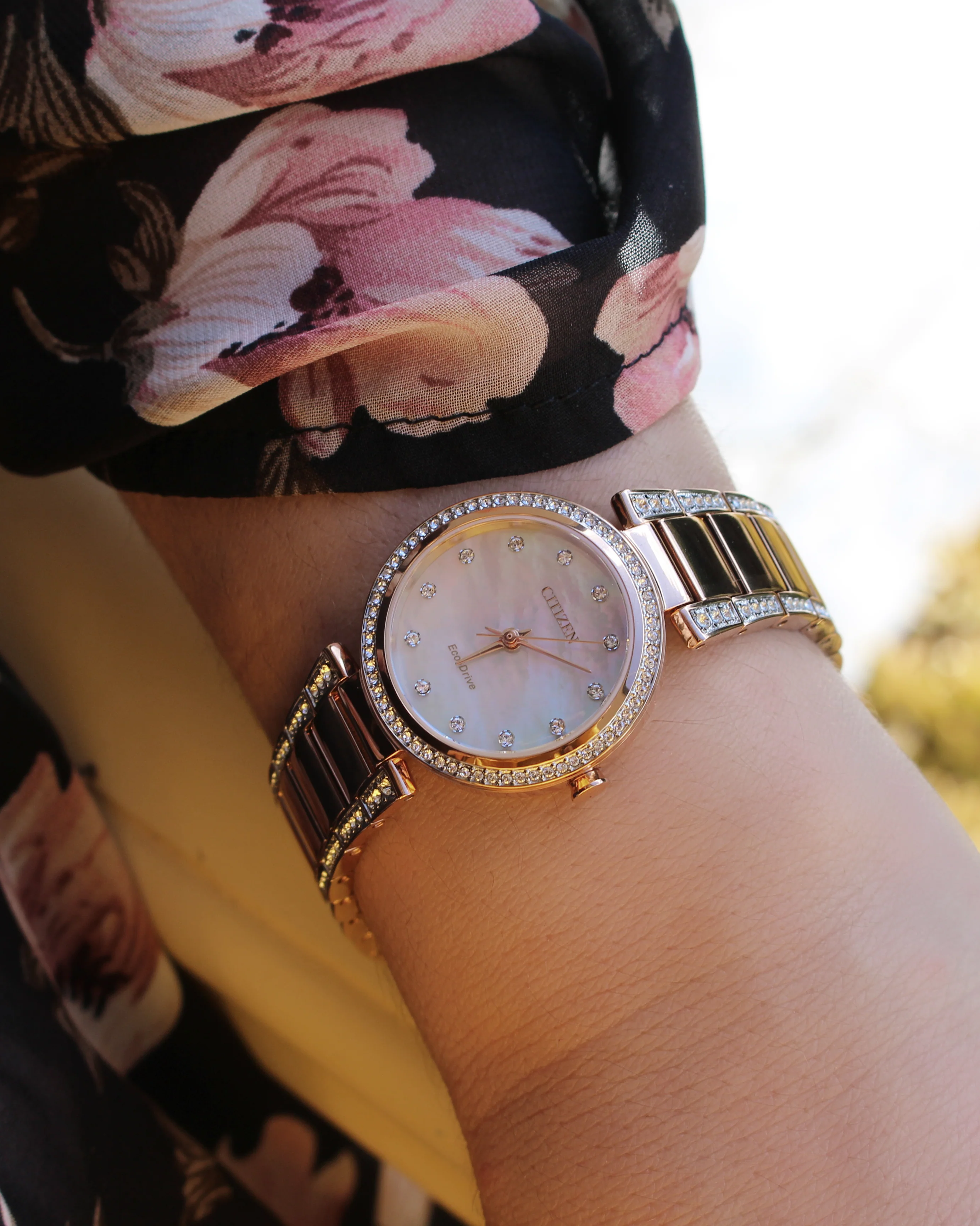 Citizen Eco-Drive EM0843-51D - Image 3