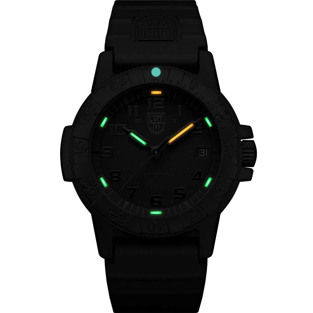 Luminox Sea Turtle XS.0301.BO.L - Image 2
