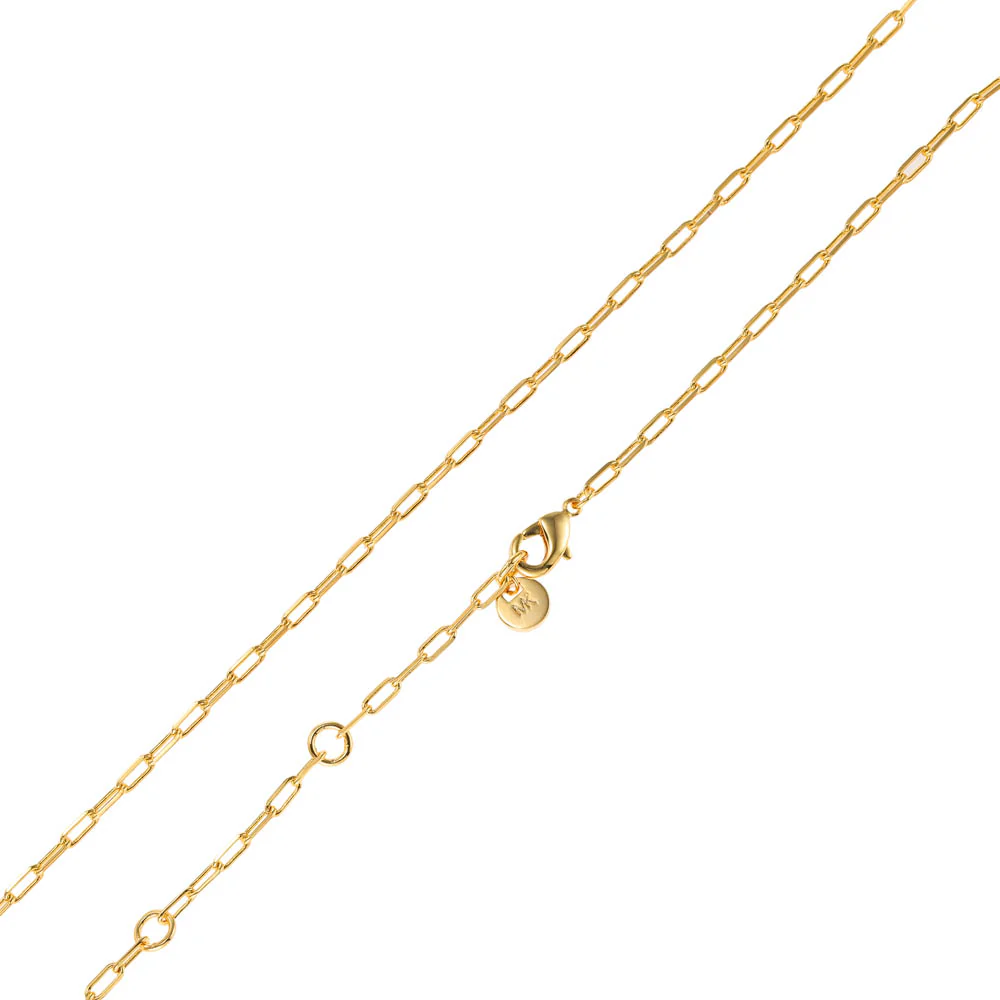 Michael Kors 14ct Yellow Gold Plated Brass Tiger's Eye Dog Tag Pendant with Chain - Image 4