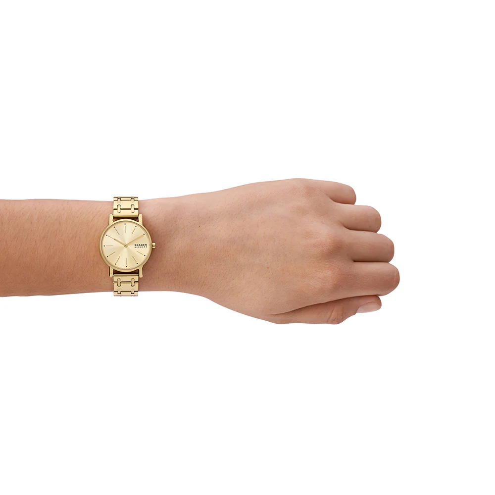 Skagen SKW3124 Signatur Lille - Image 5