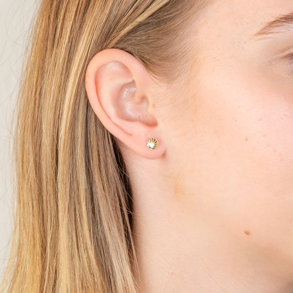 Sterling Silver Gold Plated Sea Shell Stud Earrings - Image 2